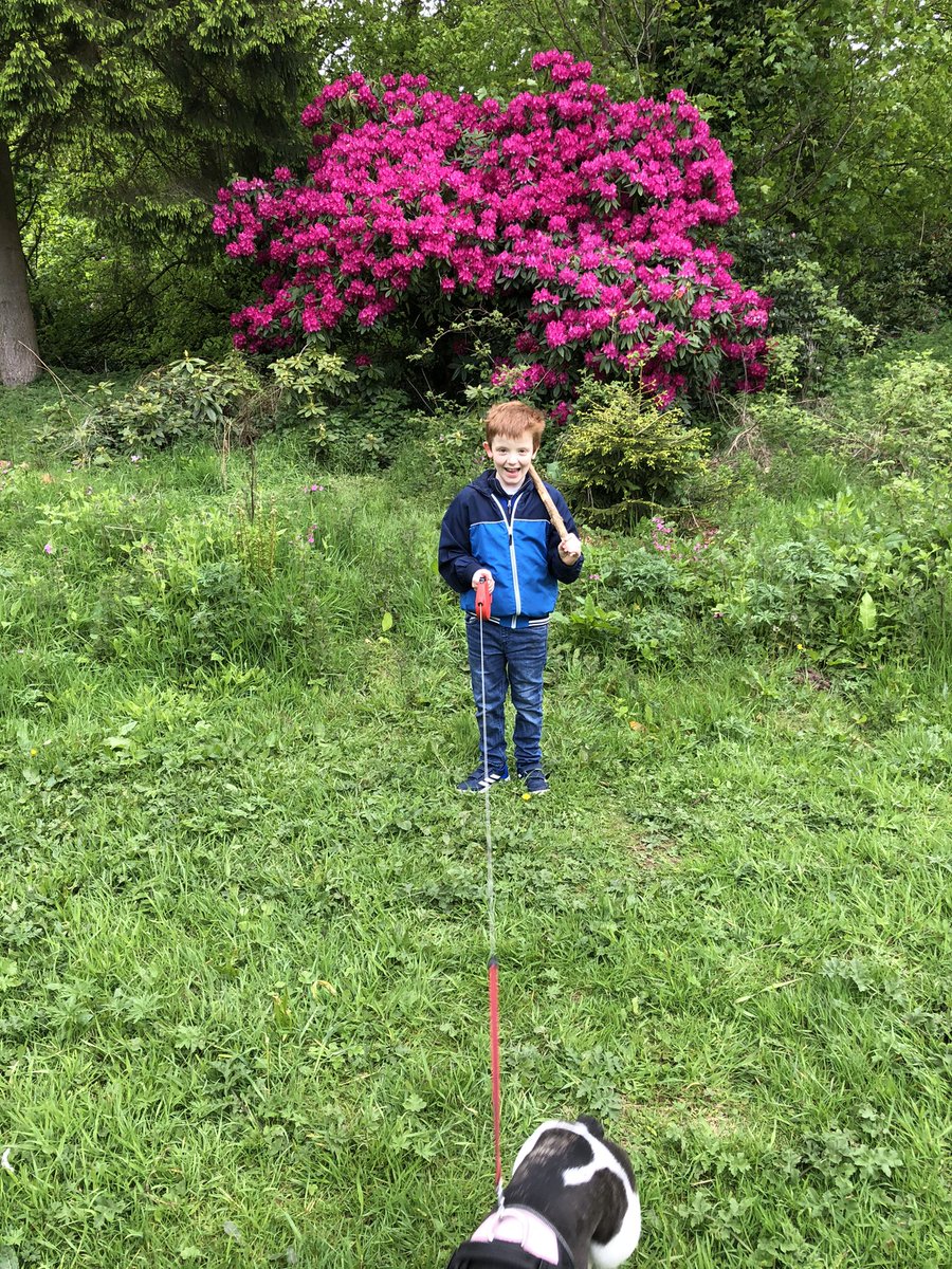 karenmurraygray's tweet photo. Wee update. Murray’s still doing amazing.  It will be 2 years soon since he suffered from any seizures. Still buying the Dutch oils with no help from NHS or Government for funding. 
Lots going on and will hopefully be able to update soon. https://t.co/PurZqlgnQY