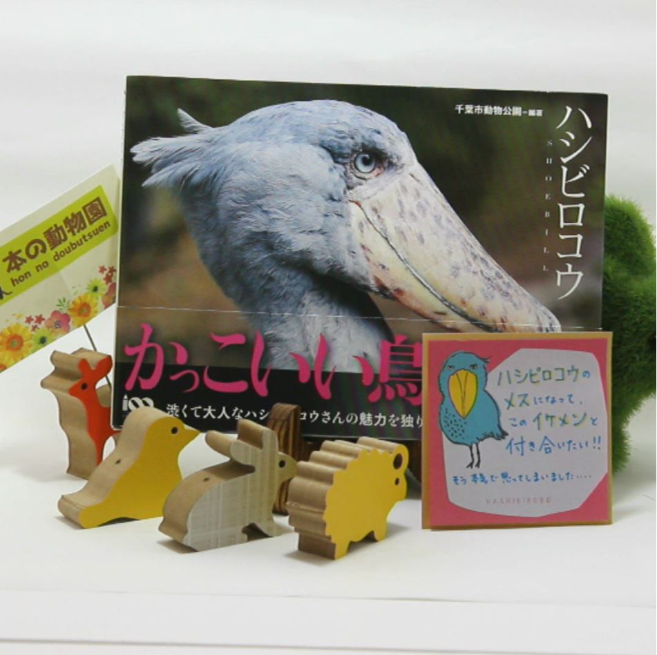 動物書店 In 桑折町 ハシビロコウのメスになって このイケメンと付き合いたい そう 本気で思ってしまいました ハシビロコウ かっこいい鳥 千葉市立動物園 本の動物園 写真集 本の紹介 桑折町 T Co Wt9ebwhj3n Twitter