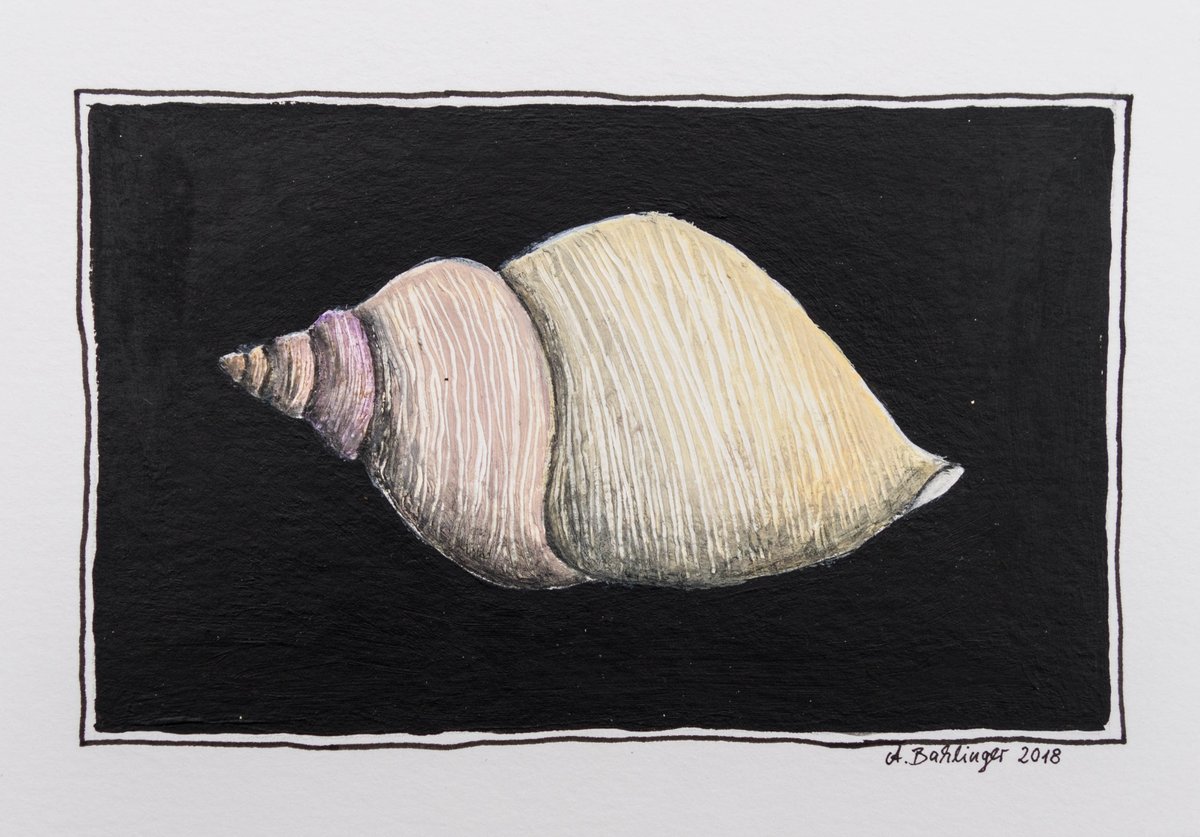 BahlingerArtist's tweet photo. Schnecke (Archiv) #mermay #MyMicroMerMay @MyMicrostories #Schnecke #watersnail https://t.co/mfmTpnlFEa
