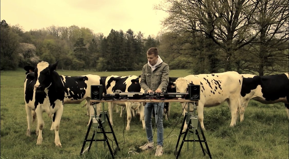 Il adore l’élevage et la musique. 

En découvrant #NatBoy, c’est tout le talent de la Meuse qui s’exprime. 
Jeunesse, agriculture et culture se mêlent pour notre plus grand plaisir 

Moi je trouve cela top. 👍
Cela fait un bien fou ⬇️

youtu.be/Y_5H8mtiRg4
