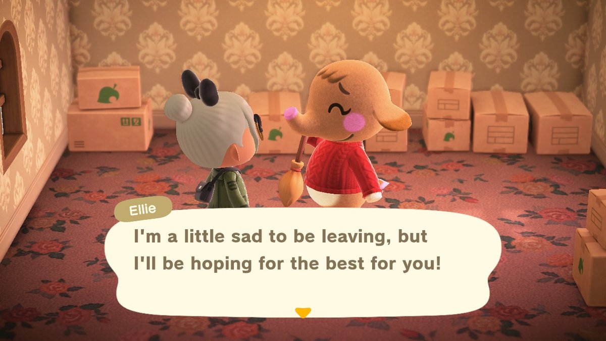 Neko_Moon17's tweet photo. Ellie in boxes💔😭 Ungifted. Looking for NMT or wishlist items #dodocode #acnhvillagertrade #ACNHTRADE #acnhvillagerinboxes #acnhvillageradoption https://t.co/KZHBSrHJe9