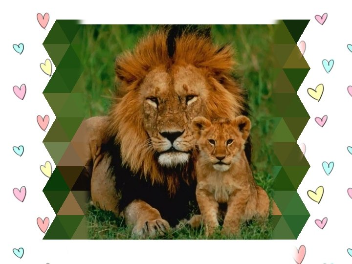 susmita_0303's tweet photo. Lion dad and lion cub son...
#Perfect_pair..
🦁🦁
Take care of yourself and you family #Raina
#SureshRaina #RioRaina
Our prayers always with you
@ImRaina
@PriyankaCRaina
Keep the Josh high 🤘🏻
#LionFamily #RainaFamily https://t.co/sg4u99kuhl