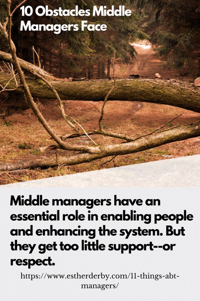 estherderby's tweet photo. It is easy to gloss over just how difficult it is to be a middle manager https://t.co/U8acxRdG3P. #MiddleMgmt #Enabling&Enhancing https://t.co/eFdddIJh8R