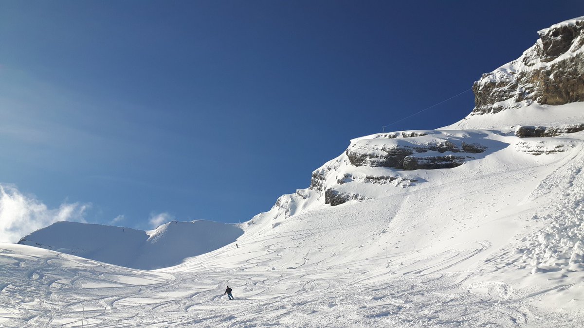 Andre Montaud tweet media