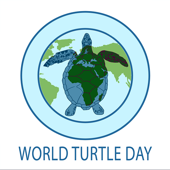 VISIONARYwrk's tweet photo. Happy World Turtle Day! 

https://t.co/4EeuEVUMYy https://t.co/YODrqspaLf