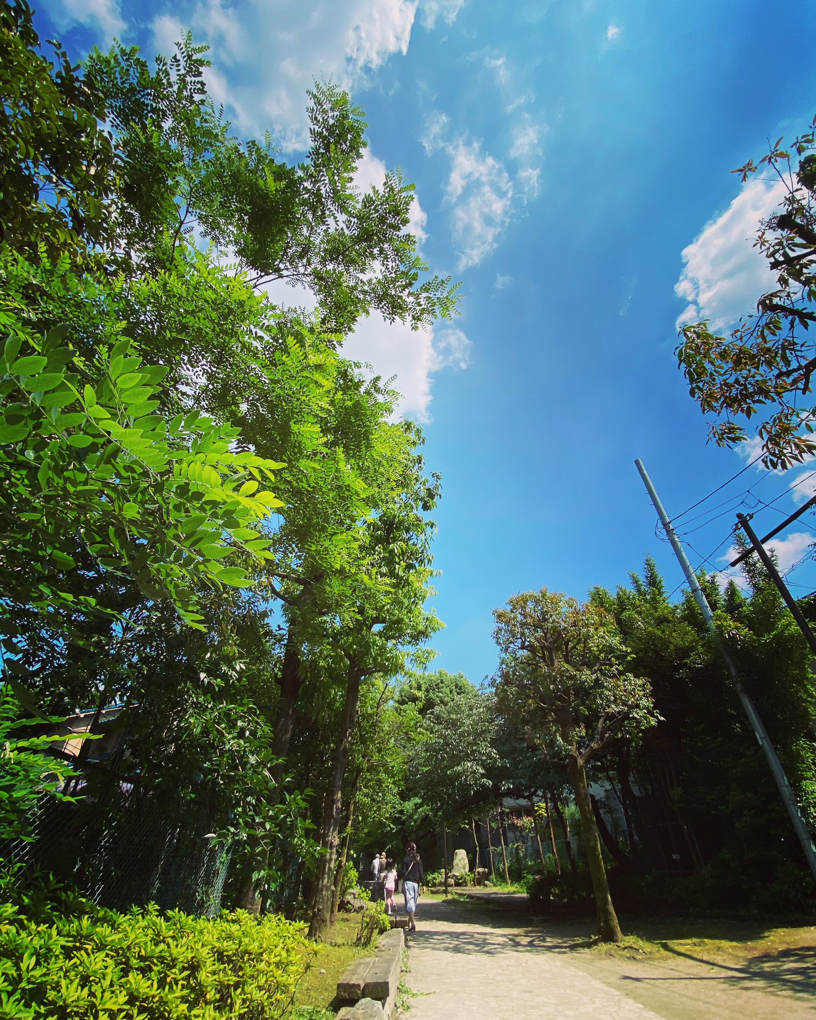 Nobu英語 Noblow Monkey Twitter