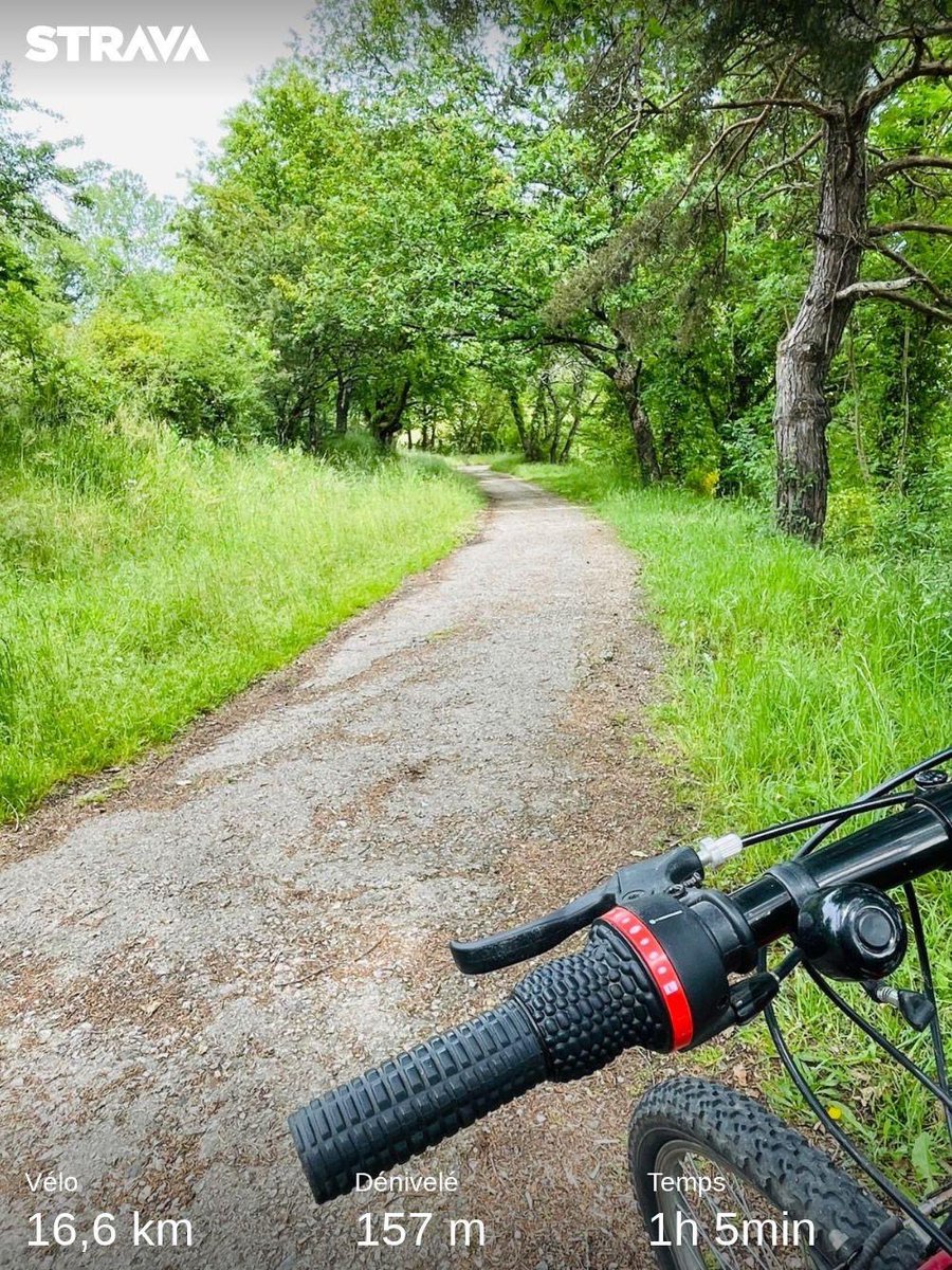 Noctis_XV's tweet photo. Sortie vtt bien sympa #strava https://t.co/osfE2V8Grk