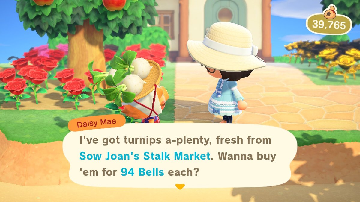 whyte_melissa's tweet photo. DM for dodo code. Please leave through the airport as well. Thank you. #AnimalCrossing #ACNH #NintendoSwitch https://t.co/yC9gHaUc36