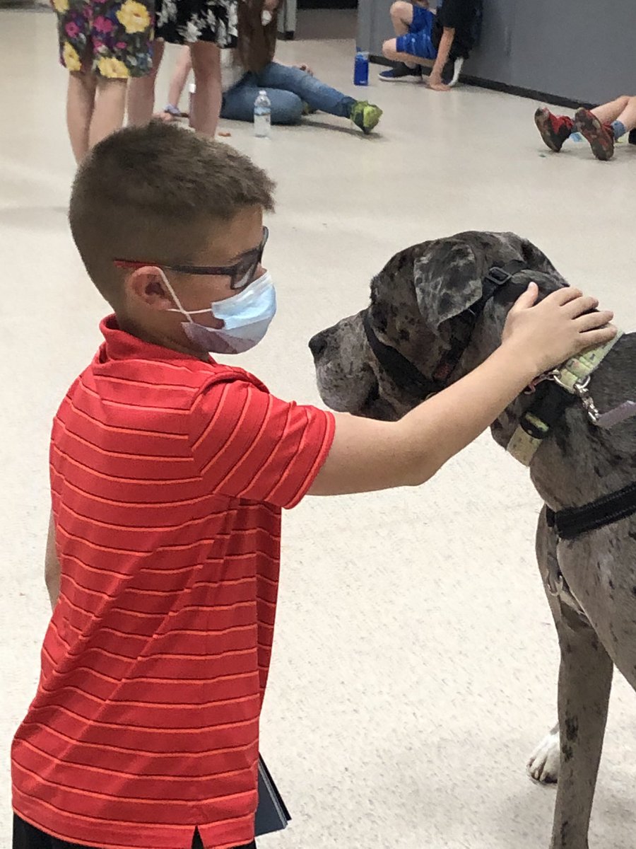 BCSD thank you for this chance to become a facilities dog                             I love my job!!! Laci Mae <a href="/SouthRanchTim/">Tim Oleksyn</a> <a href="/DanMannix7/">Dan Mannix</a> <a href="/BeekmantownCSD/">Beekmantown CSD</a> <a href="/MannixDan/">Daniel W Mannix</a> <a href="/MannixDan/">Daniel W Mannix</a> <a href="/eavicencio/">Elizabeth Vicencio</a> <a href="/StoutengerCHES/">Darcy L. Stoutenger</a> <a href="/PollyTavernia/">Polly Tavernia</a>