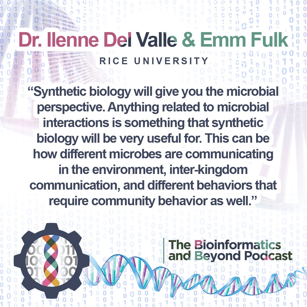 BioInfoPod's tweet photo. In this week's ep, we finish our #synbio convo with @thegassymicrobe and @MilleniemFulkon. We focus on #synbio applications, like how #synbio can help elucidate quorum sensing, HGT, and cryptic processes. To listen, or find links to this ep, simply click  https://t.co/JGwXcKTh6N https://t.co/fDuut1fINZ