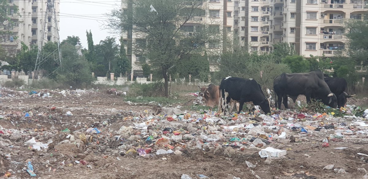 fearfreeIndian's tweet photo. @AnkitSGoel @MCManesar @DC_Gurugram Very sad situation, looks like another dump yard on NH8 and no one from administration is checking this. https://t.co/D09ybSi90D