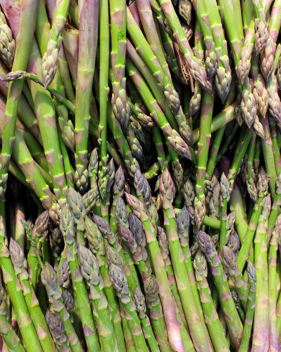 We want to thank our fantastic British growers who are working so hard to keep our supermarket and greengrocer shelves stocked with British spears! 💚 Who’s been making the most of the season?