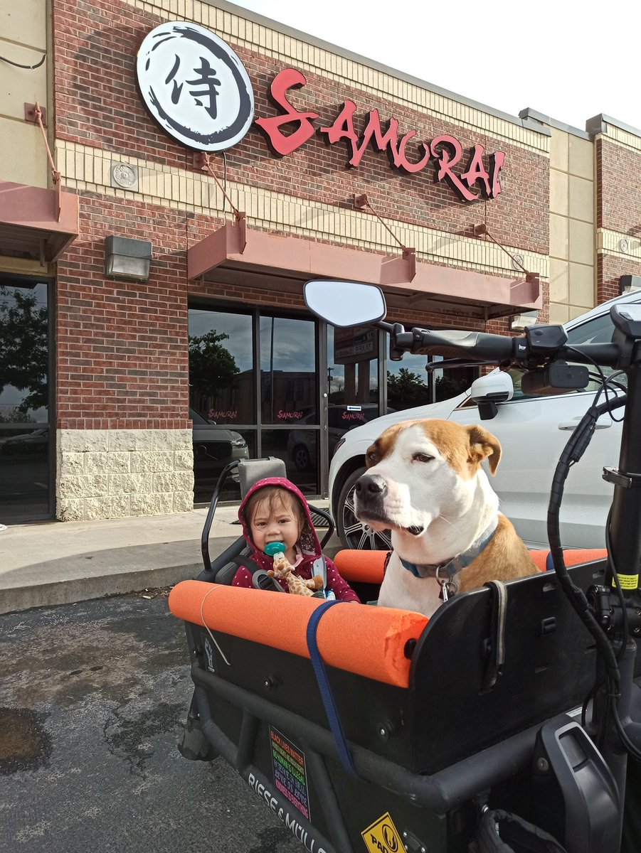carlitecarfangs's tweet image. Our family checked off a couple of favorite local restaurants this week for the @acogok #BikeMonth Scavenger Hunt:
@GrandHouseOKC and @SamuraiSushi3 in @asiandistrictok.

#BikeCentralOK
#BikeLocalShopLocal