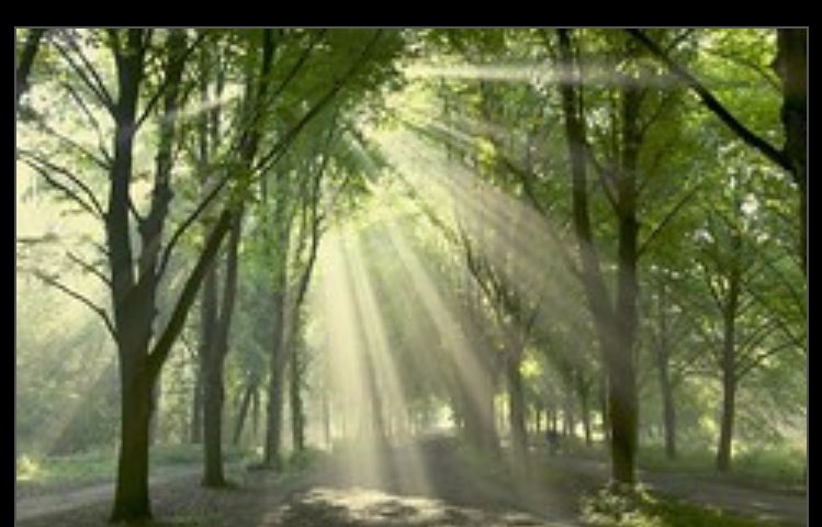 Heather84803445's tweet photo. Everybody laughs in the same language https://t.co/BhjgYvnhdQ