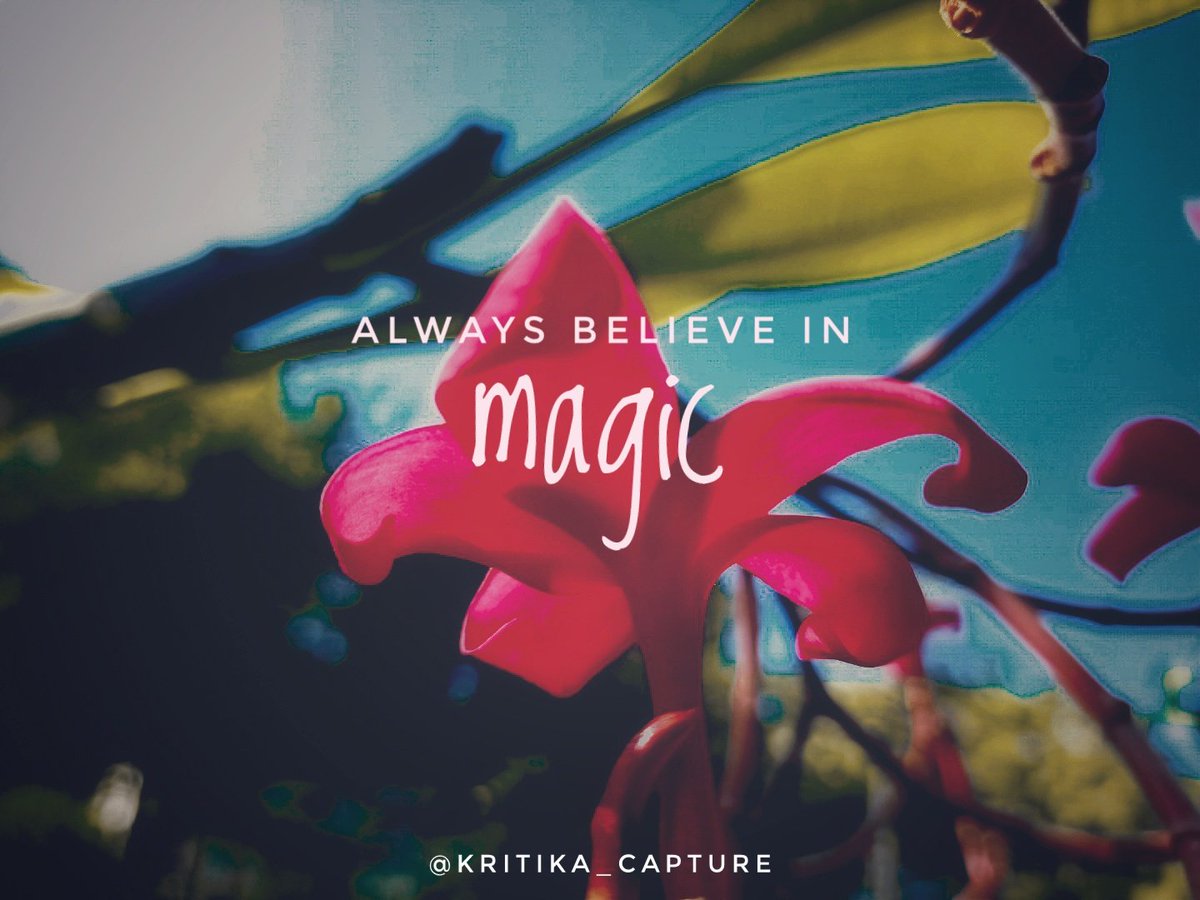 Let the magic begin 💫
#photography #flatlays #moodytone #Snapseed #Camera #Picture #Capture #photohub #photooftheday #photoshoot #photographylovers #uniquedelhi  #MyPassion #nikonphotography #photographers #Happiness #Nature #Earth #Flower #Blossom #SoDelhi #PassionForLife