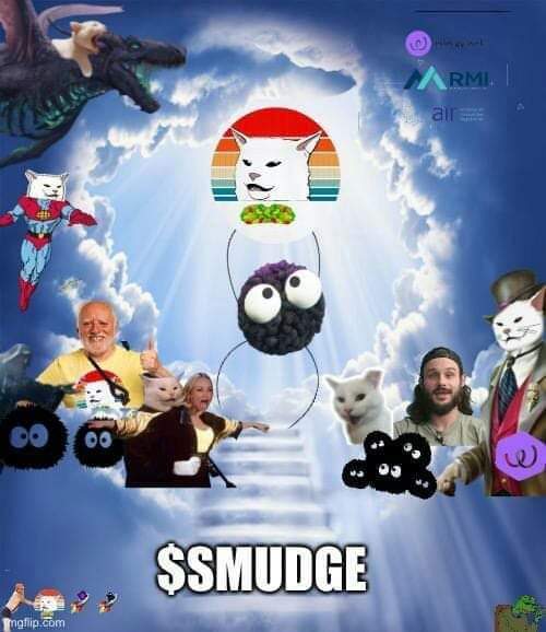sycosinner's tweet photo. @wearesmudgecoin 

I love you smudge

#miow #iamsmudged #smudged #makesmudgehappy https://t.co/j0NShtNjoQ