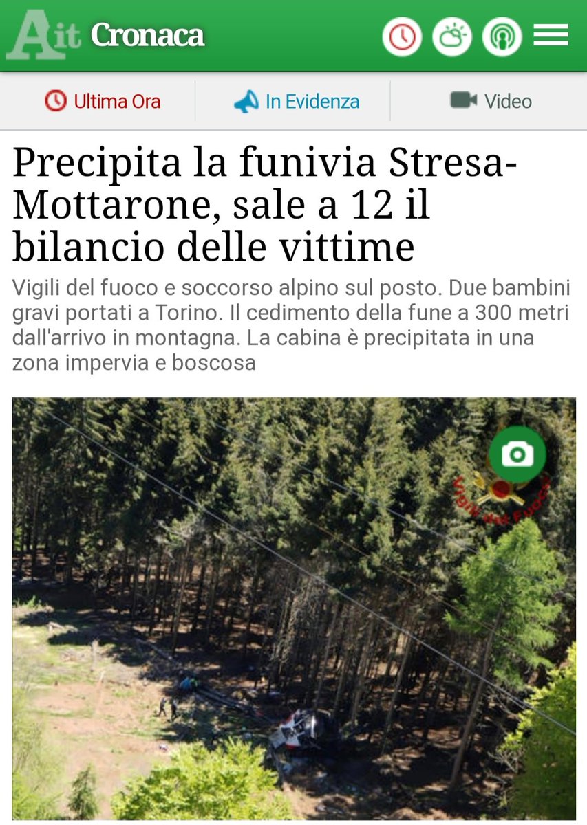 Celeste D'Arrando tweet media