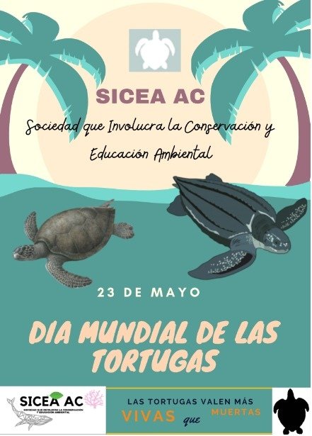 SiceaAC's tweet photo. #Tortugas
#DiaInternacionalDeLasTortugas https://t.co/KqyfnAs5FP