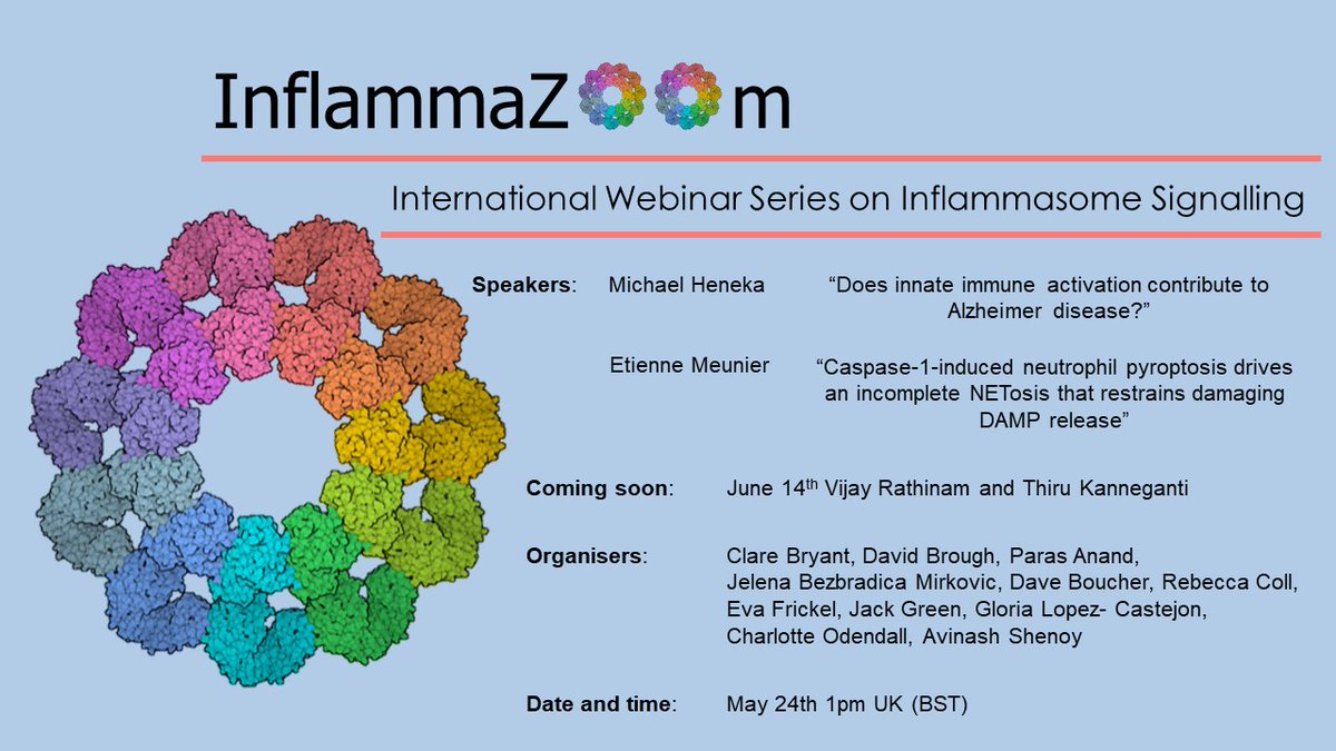 ClareBryant13's tweet photo. Don't forget to join us for two more exciting talks on Inflammazoom tomorrow................. https://t.co/gZzf7XnGPp