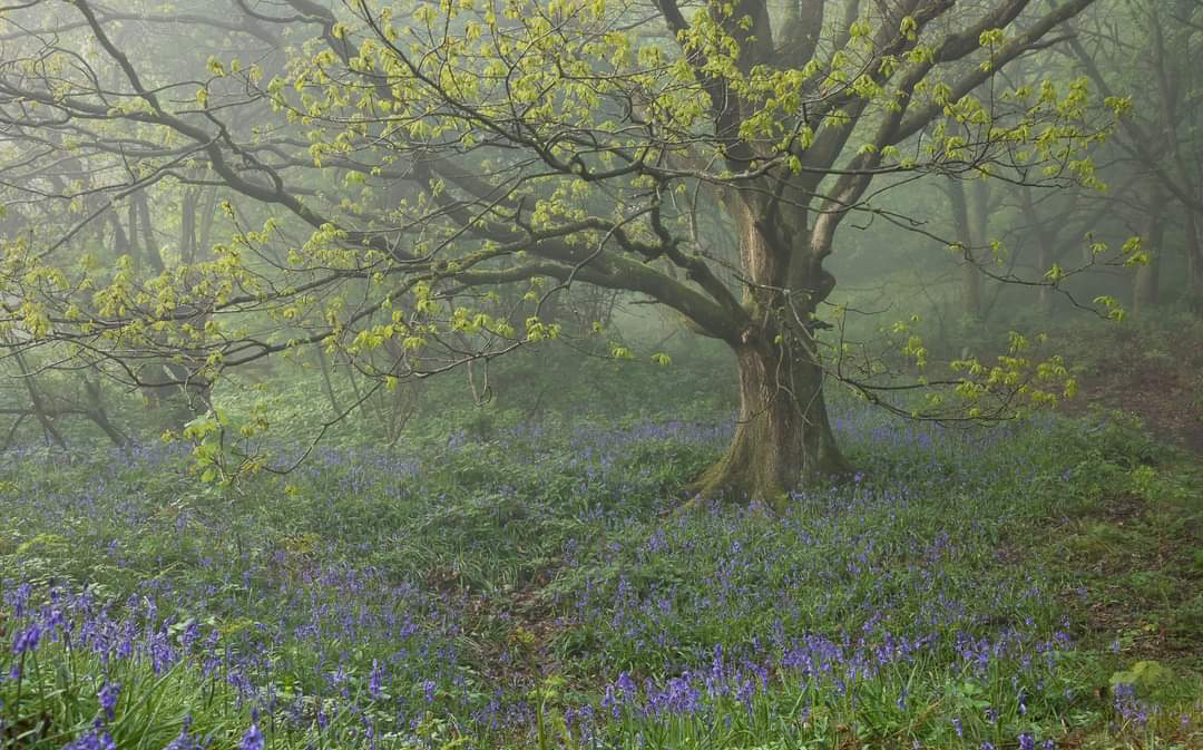 The Photography Pubcast tweet media