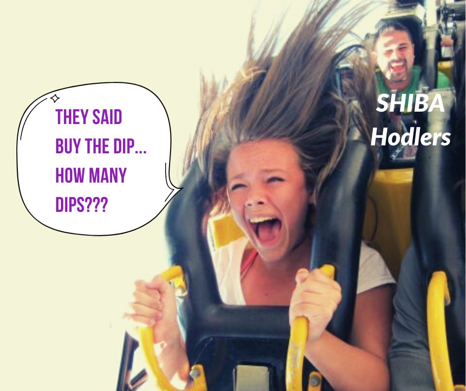 digitalfundays's tweet photo. @dksm73 Buying all the dips👌🎉🚀 #SHIBARMY #ShibaStrong https://t.co/Dj0Q8jTlON