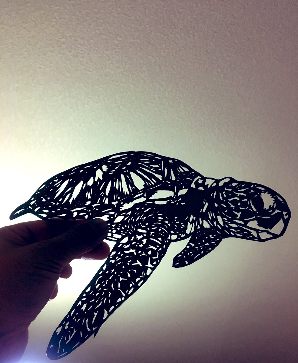 ウミガメ ウミガメ