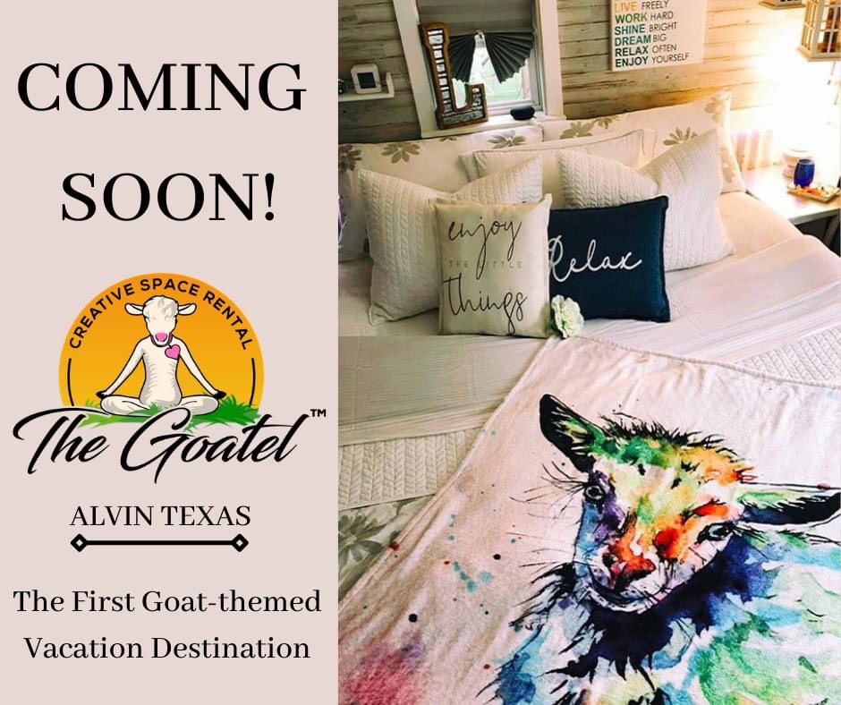 GoatYogaOregon's tweet photo. The ultimate animal-lovers vacation getaway. Each night includes a Goat Happy Hour on the waterfront! #thegoatel #familyfun #Texas https://t.co/BBH85GRshN