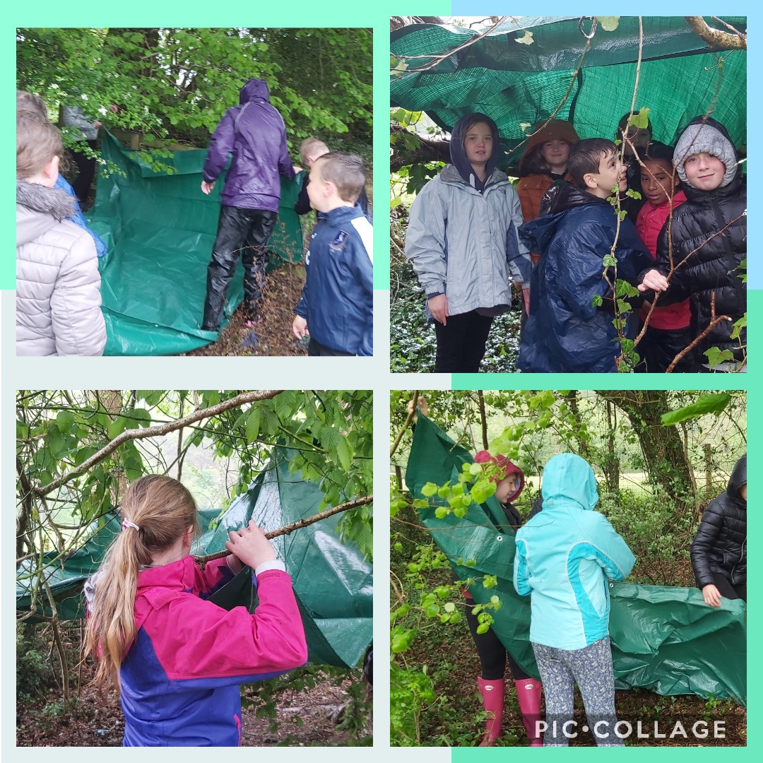 YsgolBroTawe's tweet photo. Dysgu yn yr awyr agored.🌳❤️🌳D6 didn't want to come back inside after spending #OutdoorClassroomDay  den building and using their scavenging and creative skills to make hedgehog models!🦔⛺️🏕️
#FaCEproject
@MrsBullionsMaes 
@ErwCymru 
@_OLW_ 
@wgmin_education 
@childcomwales https://t.co/R6w6SA0qqv