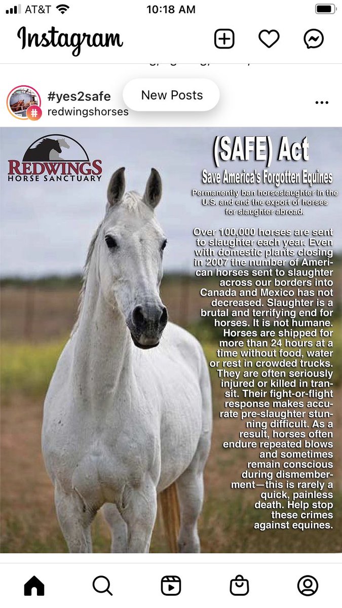 Go to #safeact or #horsesinourhands  and please help save our innocent wild horses