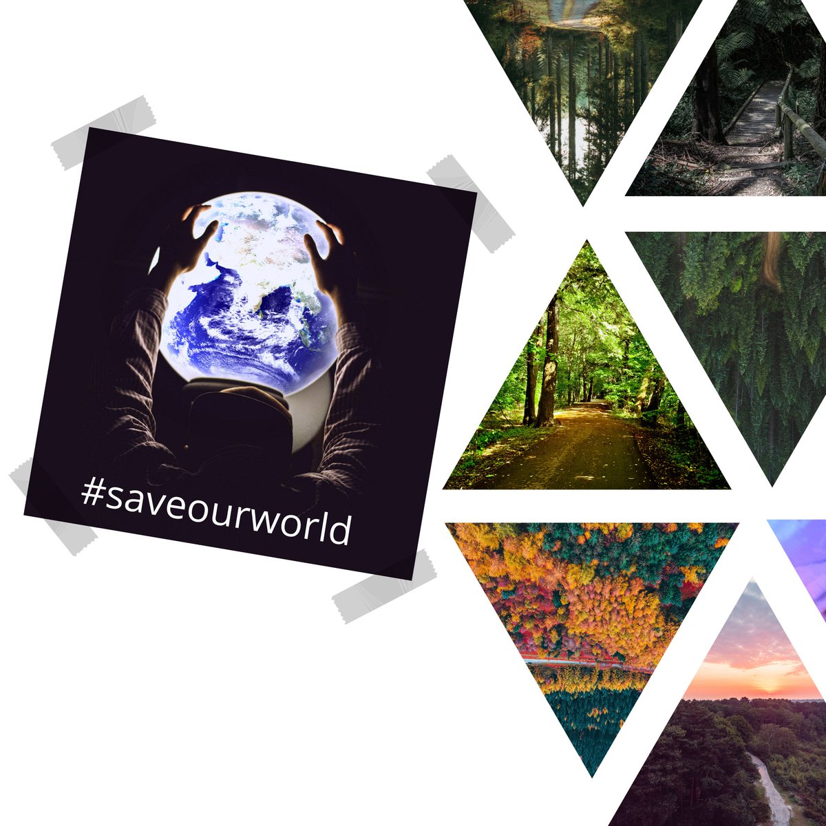 IWO Innovative World tweet media