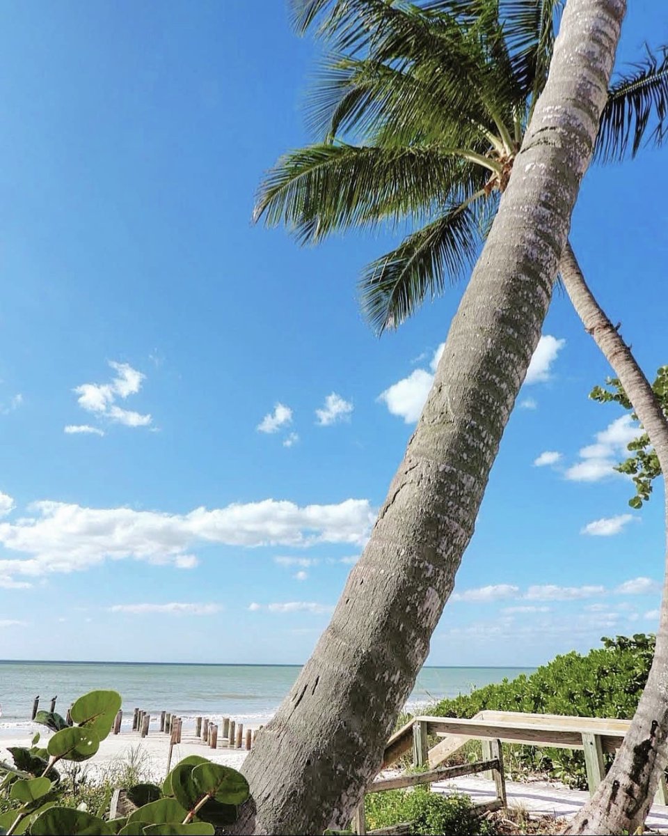 LemonTreeInn's tweet image. Raise your hand if you’re ready for a seaside getaway in the Florida sun. 📸: IG @blueoceanflorida