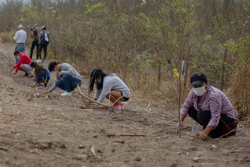 agustinintriago's tweet photo. 500 árboles más! 

Conmemoramos el #DíaNacionalDelÁrbol, sembrando. En Sí Vivienda plantamos varias especies que serán mantenidas con riego por goteo para su sano crecimiento. https://t.co/p4btET7Lf6