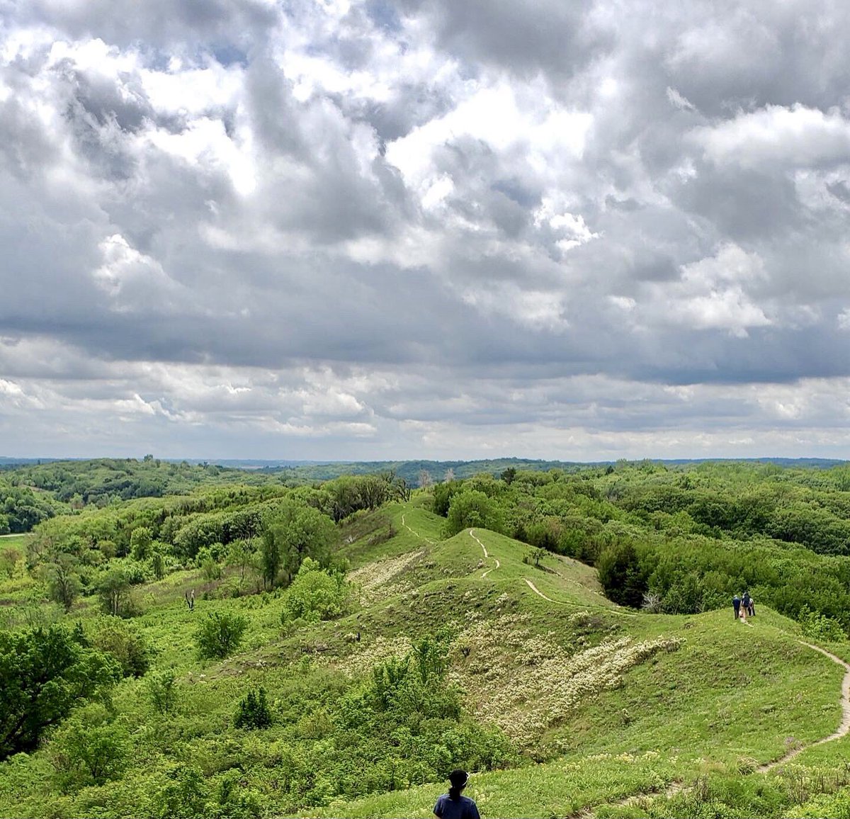ashrehab's tweet photo. #weekendhikes #LoessHills #Iowastateparks #healthyinhc https://t.co/lYoriMk7KH