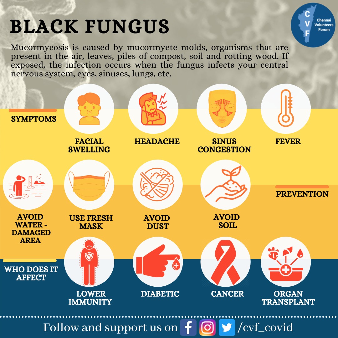 cvf_covid's tweet photo. All you need to know about black fungus : causes, symptoms, affects and preventions.

@104_GoTN
@chennaicorp

#blackfungus #mucormycosis #diabetic #cancer #organtransplant #freshmask #covid_19 #corona #fungalinfection -#fungus #wereinthistogether #staysafe #stayhome https://t.co/BBSLerqumb