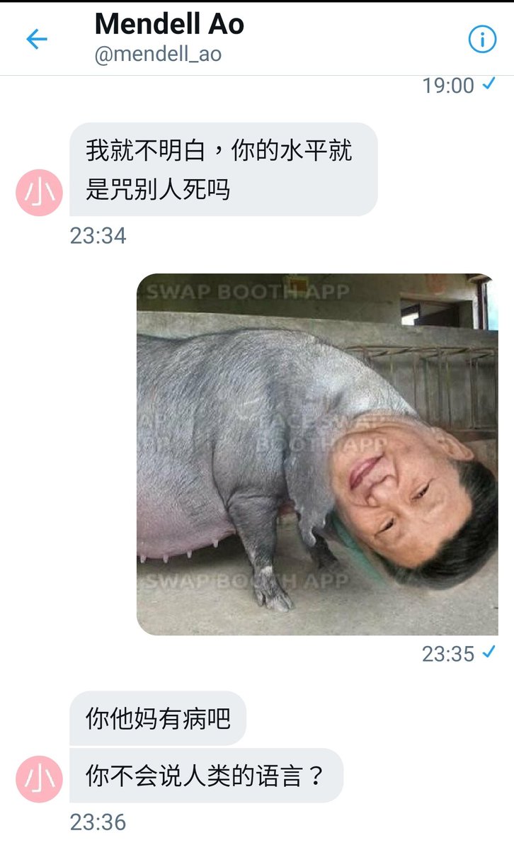 川和.豆沙維尼🇹🇼 橘貓愛好份子 tweet media