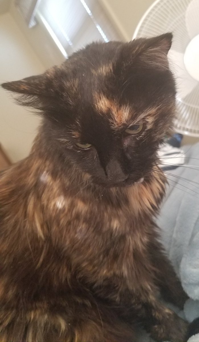 nancy albino tweet media