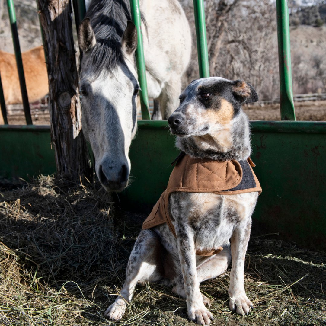 The Workwear Store tweet media