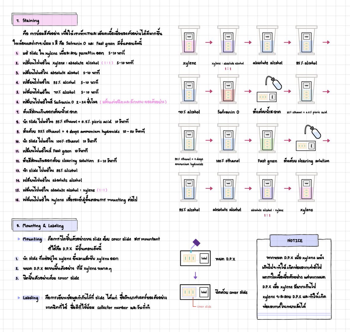 LoverBotany's tweet photo. เพราะโควิททำให้ต้องกลับมาเรียนออนไลน์อีกครั้ง การสอบ final วิชาแลปอาจารย์เลยเสนอให้เขียนสรุปขั้นตอนการทำแลปส่ง ถามว่าเรียนรู้เรื่องไหมก็รู้เรื่องแหละ แต่ทักษะที่เราจะได้จากการลงมือทำจริงๆก็ไม่ได้แล้วไง ถ้ารัฐจัดการอะไรให้มันดีๆก็จะไม่ต้องเกิดการเสียโอกาสอะไรแบบนี้ขึ้นอ่ะ https://t.co/s6L405C6yC