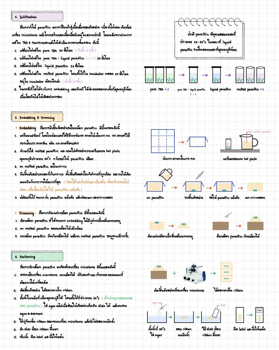 LoverBotany's tweet photo. เพราะโควิททำให้ต้องกลับมาเรียนออนไลน์อีกครั้ง การสอบ final วิชาแลปอาจารย์เลยเสนอให้เขียนสรุปขั้นตอนการทำแลปส่ง ถามว่าเรียนรู้เรื่องไหมก็รู้เรื่องแหละ แต่ทักษะที่เราจะได้จากการลงมือทำจริงๆก็ไม่ได้แล้วไง ถ้ารัฐจัดการอะไรให้มันดีๆก็จะไม่ต้องเกิดการเสียโอกาสอะไรแบบนี้ขึ้นอ่ะ https://t.co/s6L405C6yC