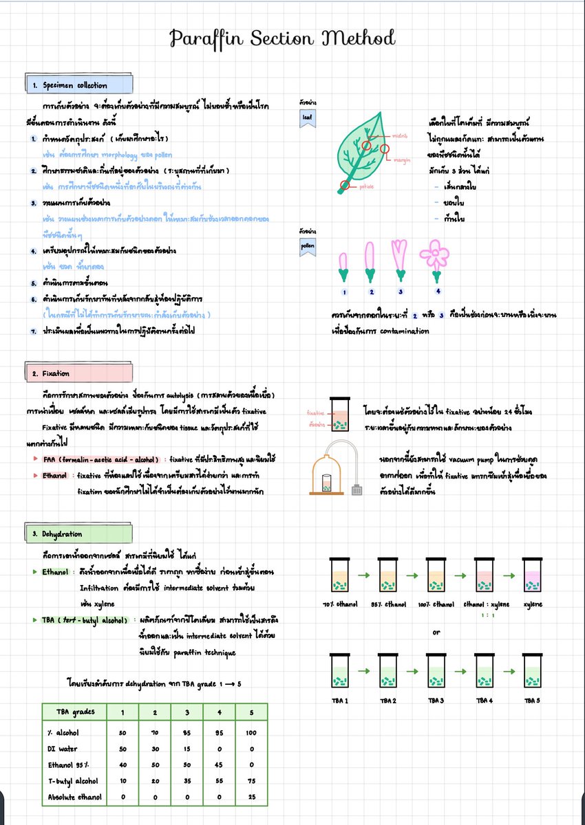 LoverBotany's tweet photo. เพราะโควิททำให้ต้องกลับมาเรียนออนไลน์อีกครั้ง การสอบ final วิชาแลปอาจารย์เลยเสนอให้เขียนสรุปขั้นตอนการทำแลปส่ง ถามว่าเรียนรู้เรื่องไหมก็รู้เรื่องแหละ แต่ทักษะที่เราจะได้จากการลงมือทำจริงๆก็ไม่ได้แล้วไง ถ้ารัฐจัดการอะไรให้มันดีๆก็จะไม่ต้องเกิดการเสียโอกาสอะไรแบบนี้ขึ้นอ่ะ https://t.co/s6L405C6yC