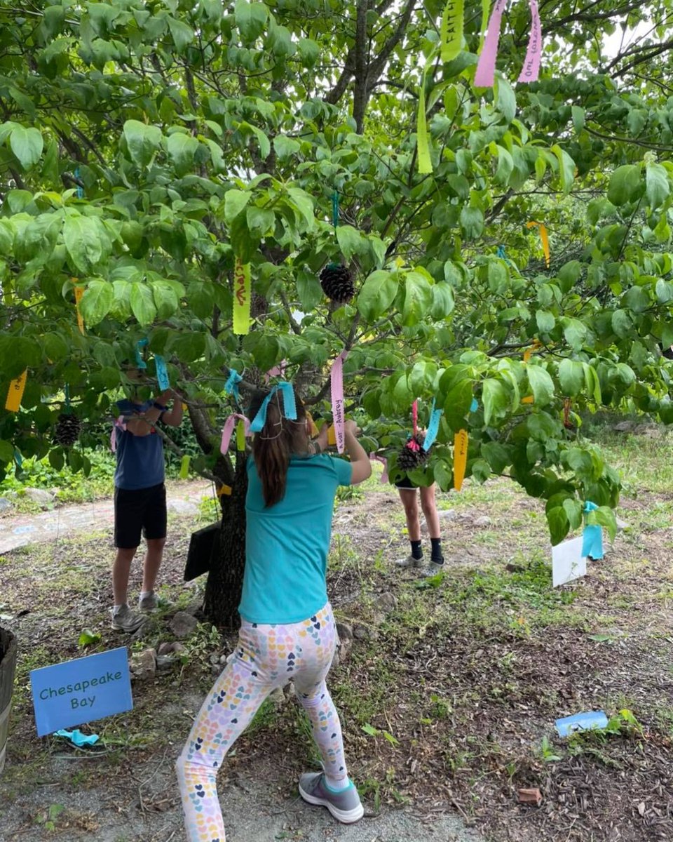 WISHTREE! After completing "Wishtree" as their One School, One Book, students at Elmont Elementary School were given a fabric strip to write their wish and hung them on a tree! Now the Elmont Wishtree is full! 

#InspireEmpowerLead #HanoverStrong