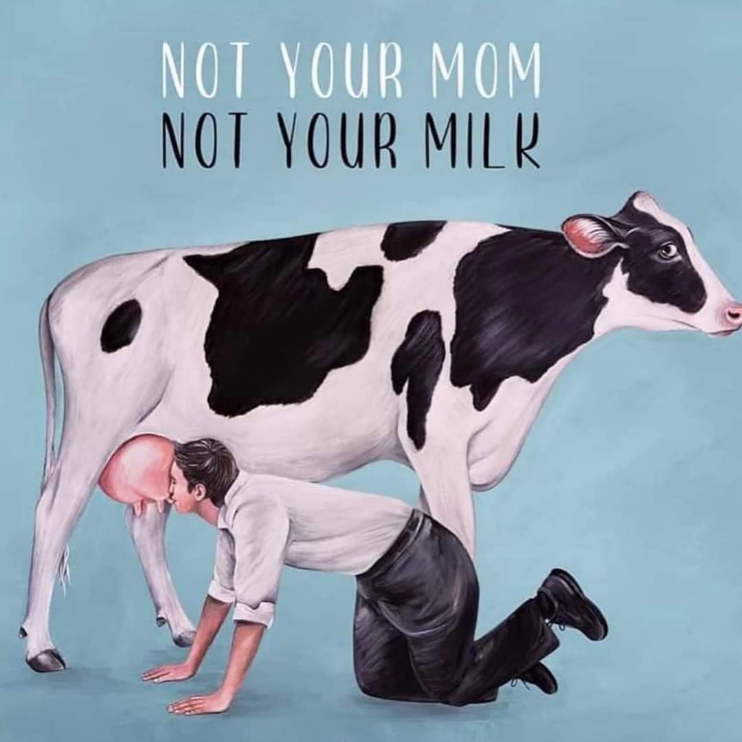 SofiPro15's tweet image. 