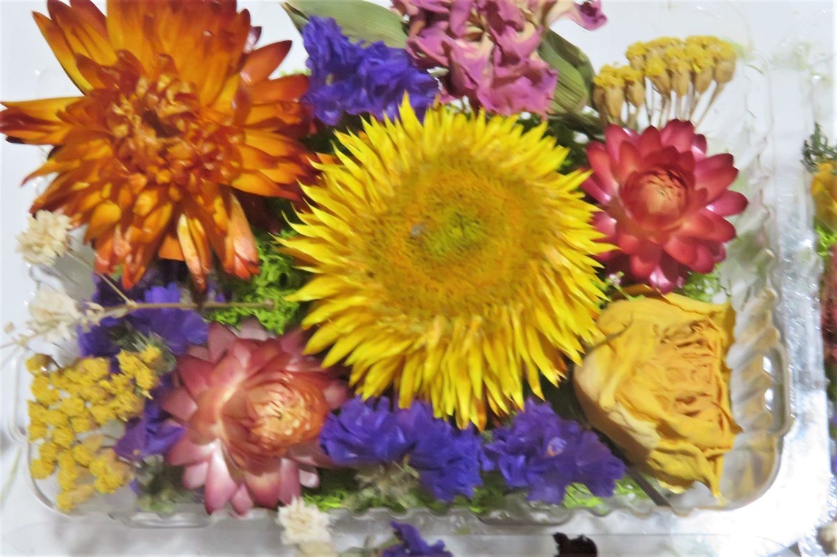 NVicki2011's tweet photo. Excited to share the latest addition to my #etsy shop: 1 box natural dried flowers for candles, soap,resin decoration, resin filling , epoxy mold, jewelry DIY Grown and dried in USA https://t.co/sPEb3ss3Rx #rainbow #soapmakingbath #yellow #mixedbouquet #strawflowers #c https://t.co/vVFF75BhLL