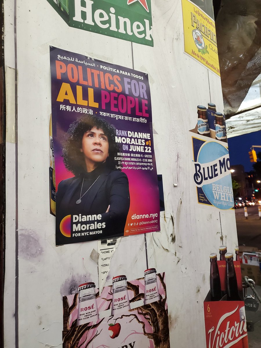 Spotted multiple Dianne Morales posters like this in Flatbush the other day. Love to see it!!!