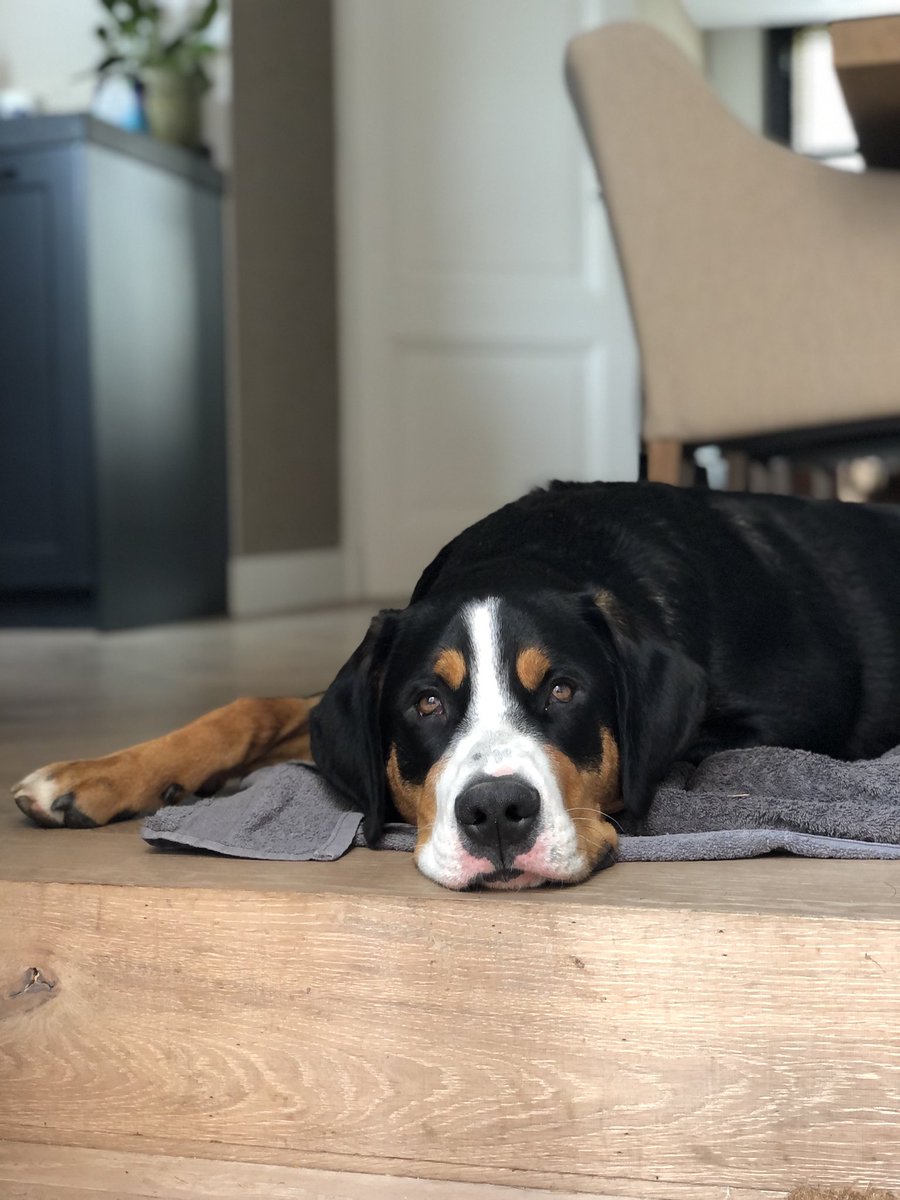 Knapste man ❤️✨