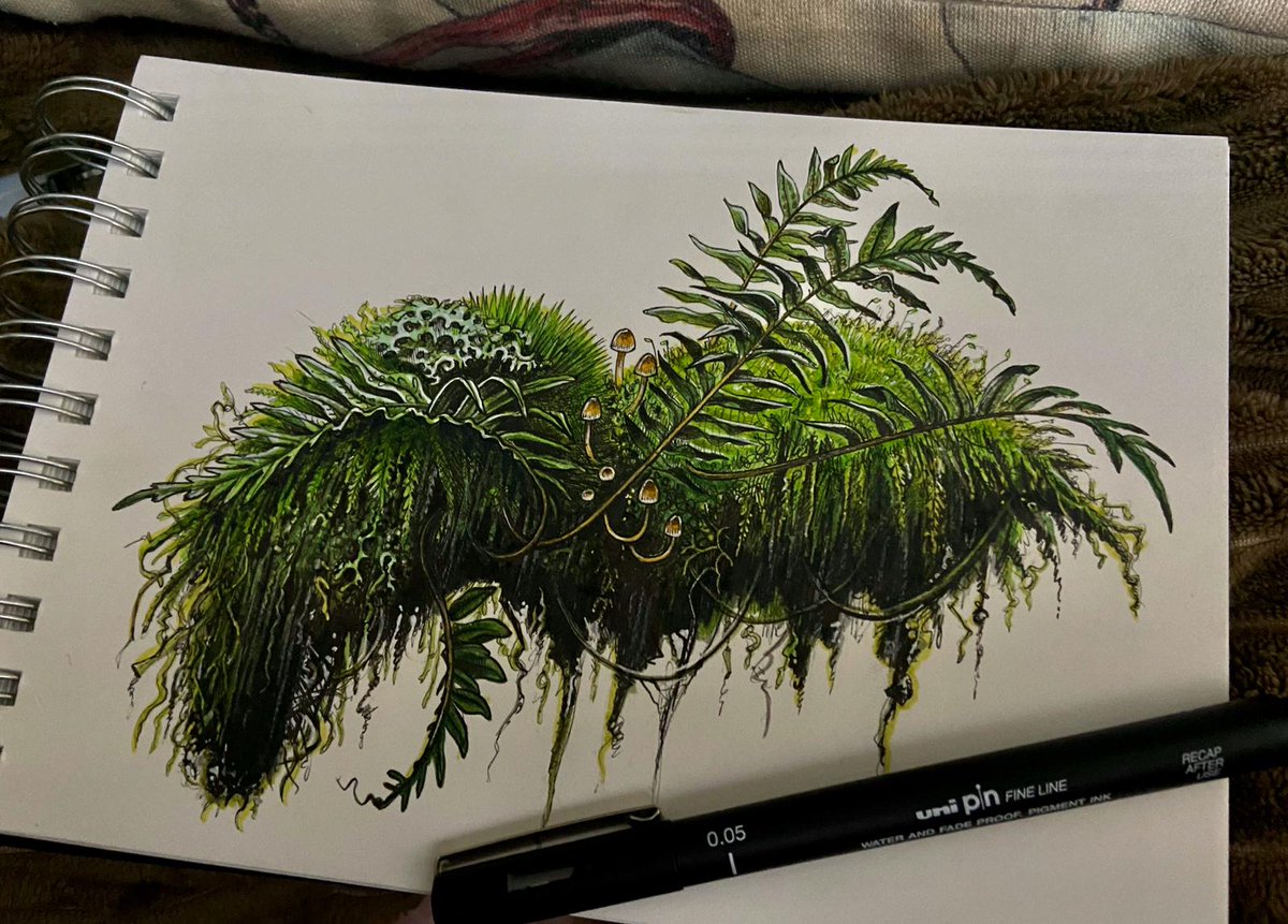 bernoid's tweet photo. Started documenting #LogOfTheWeek back in July 2020.

Ended up creating this - that I found at Wistman's Wood on #Dartmoor 

Signed with ink made from moss, lichen, bark &amp; black walnut hulls.

https://t.co/SKap7f9FfN

#artprint #LimitedEditionPrint #WistmansWood #illustration https://t.co/i3GcPljtw0