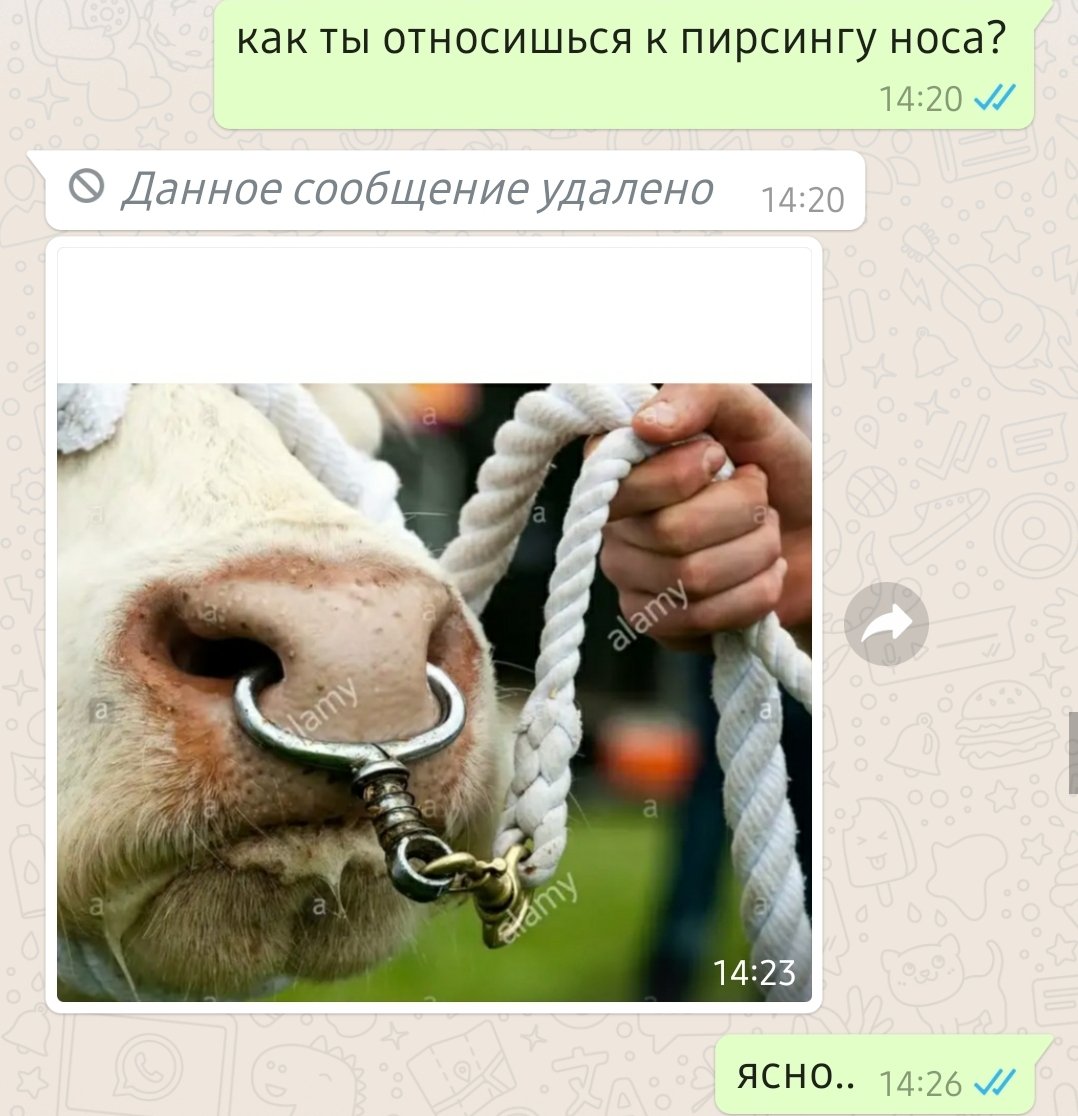MIRTA45965277's tweet photo. я собираюсь сделать септум в тайне от мамы потому: https://t.co/YzaJd92snG