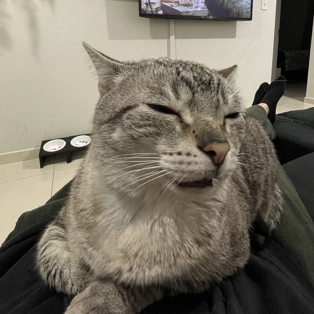 wtfmiu's tweet photo. o dia todo / de noite https://t.co/TaVMZAhN7s