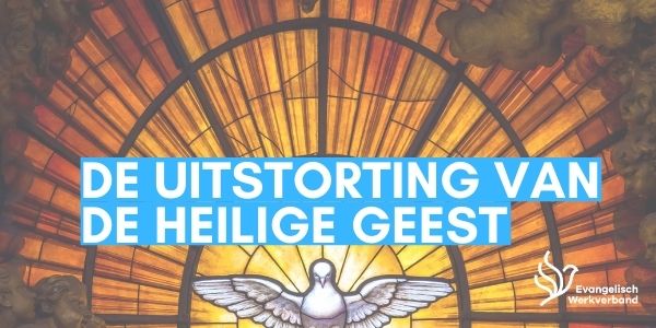 There is More! EW tweet media