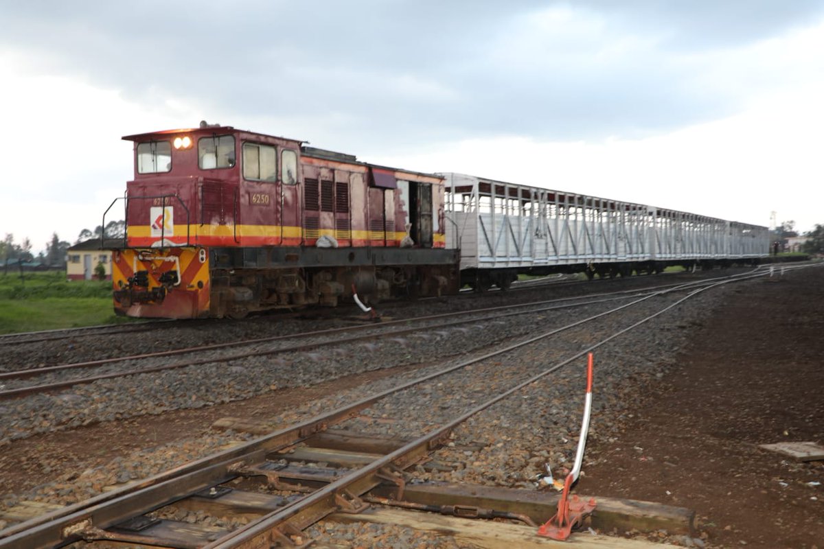 REINTRODUCING LIVESTOCK TRANSPORT - Cattle Wagon train carrying cattle today makes its official trip from Nanyuki Railway Station to Nairobi's Kenya Meat Commission(K. M. C) Depot.
<a href="/kenyapipeline/">Kenya Pipeline Company PLC</a> <a href="/Kenya_Ports/">Kenya Ports Authority</a> <a href="/ICDCKenya/">ICDC</a>